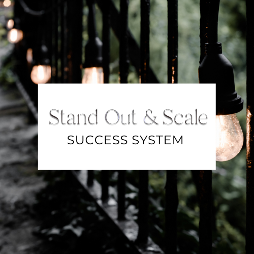 The Stand Out & Scale Success System