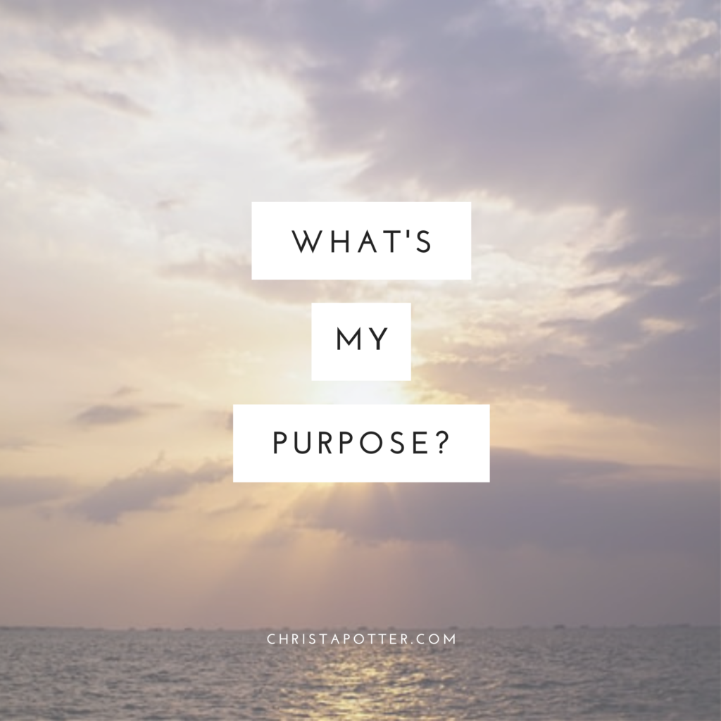 What is my purpose?