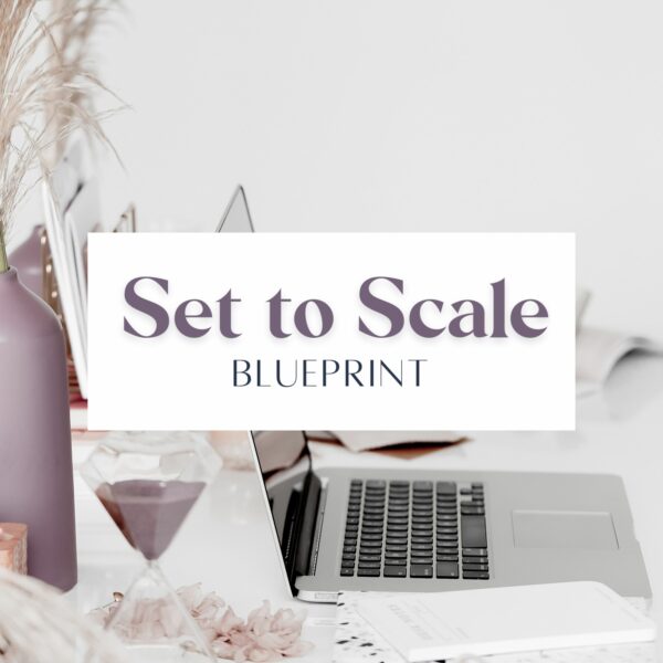 Set to Scale Blueprint